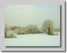 La neige de chez moi