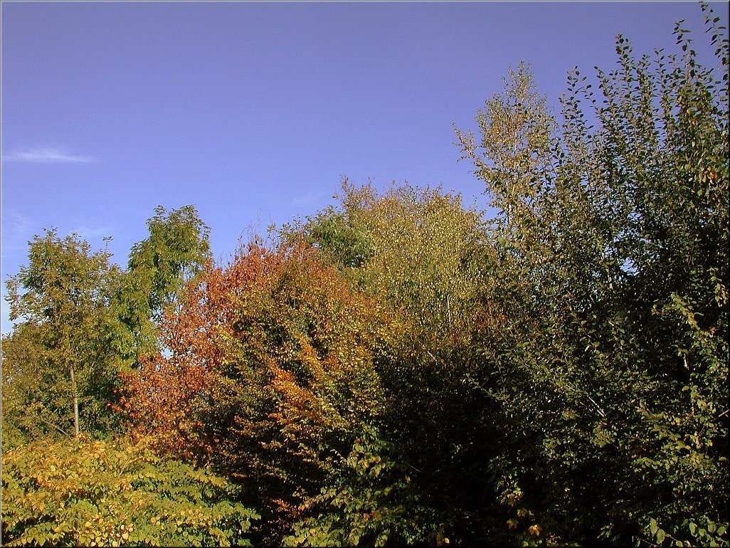 DSCN0014759