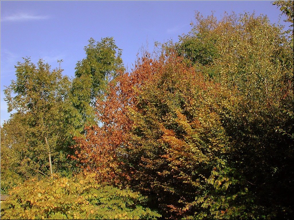 DSCN0014760