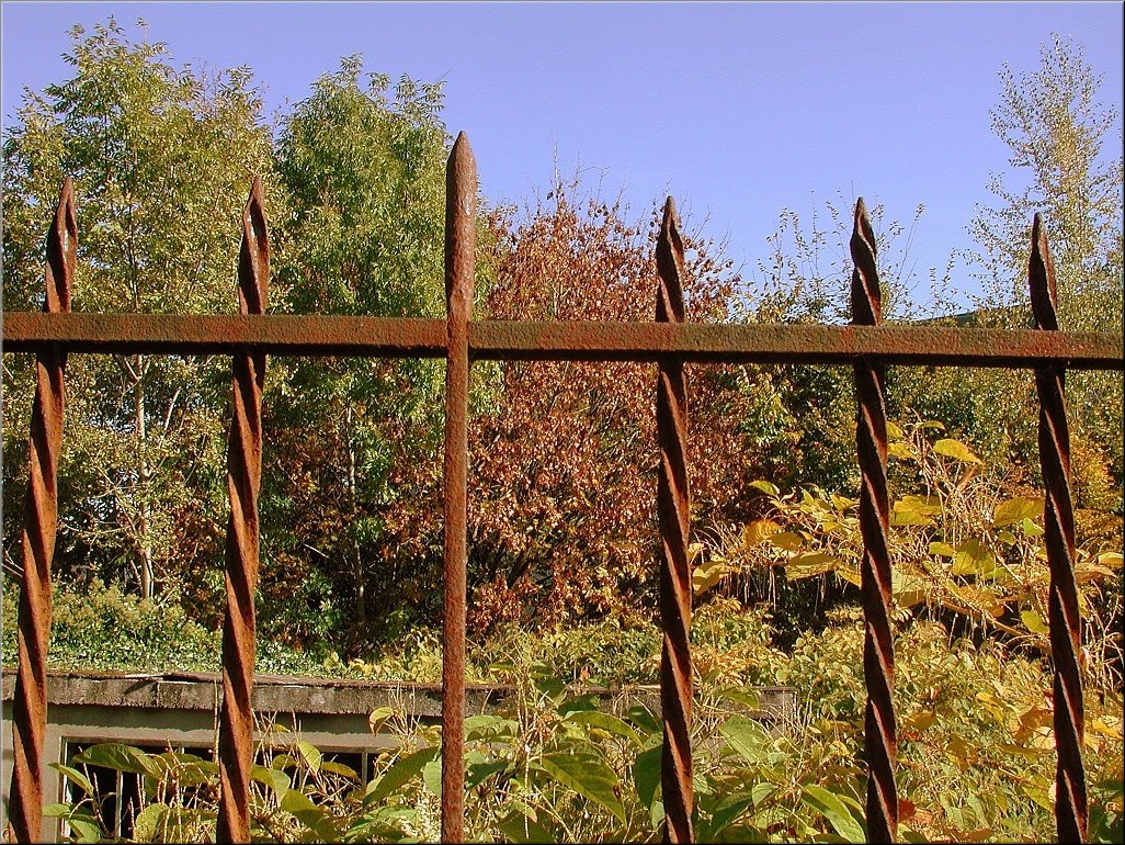 DSCN0014762