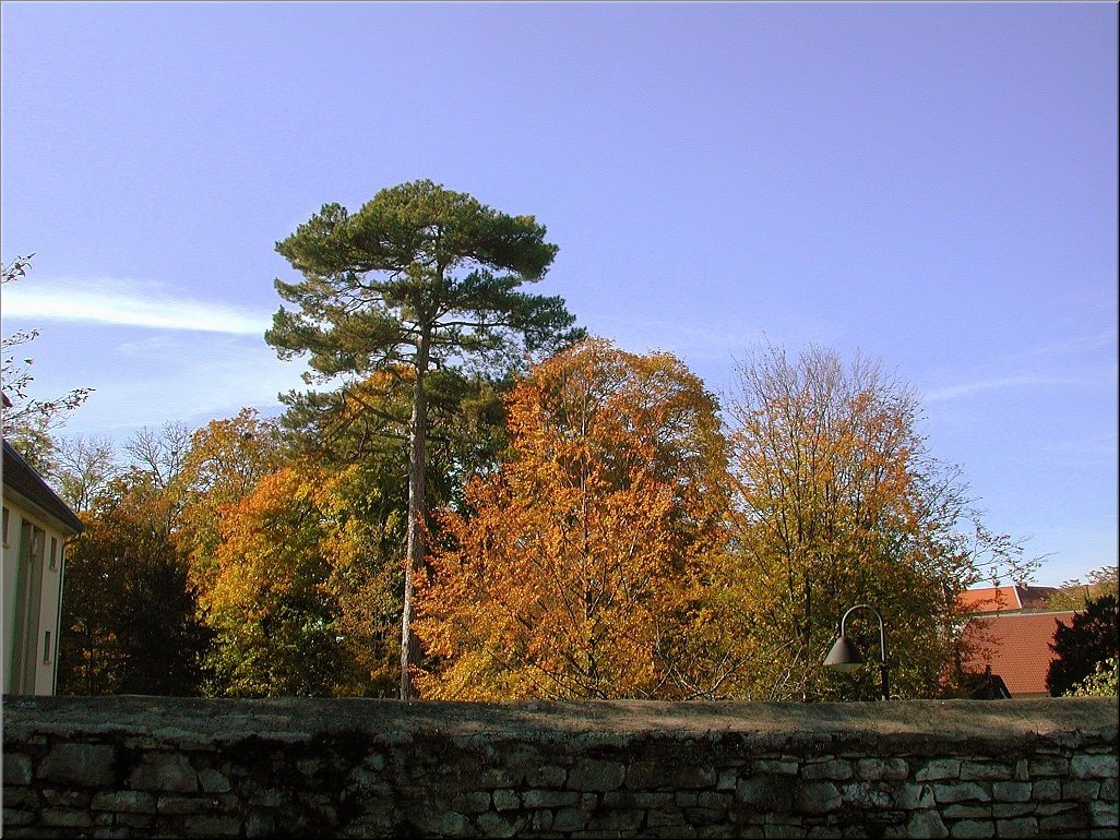 DSCN0014766