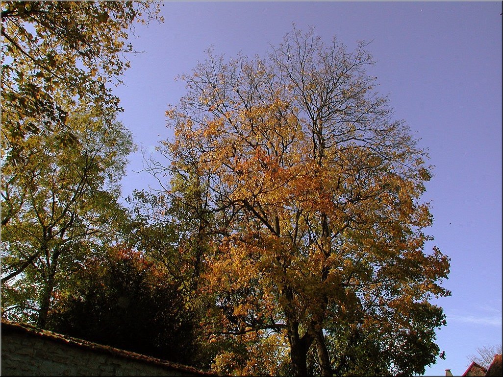 DSCN0014768