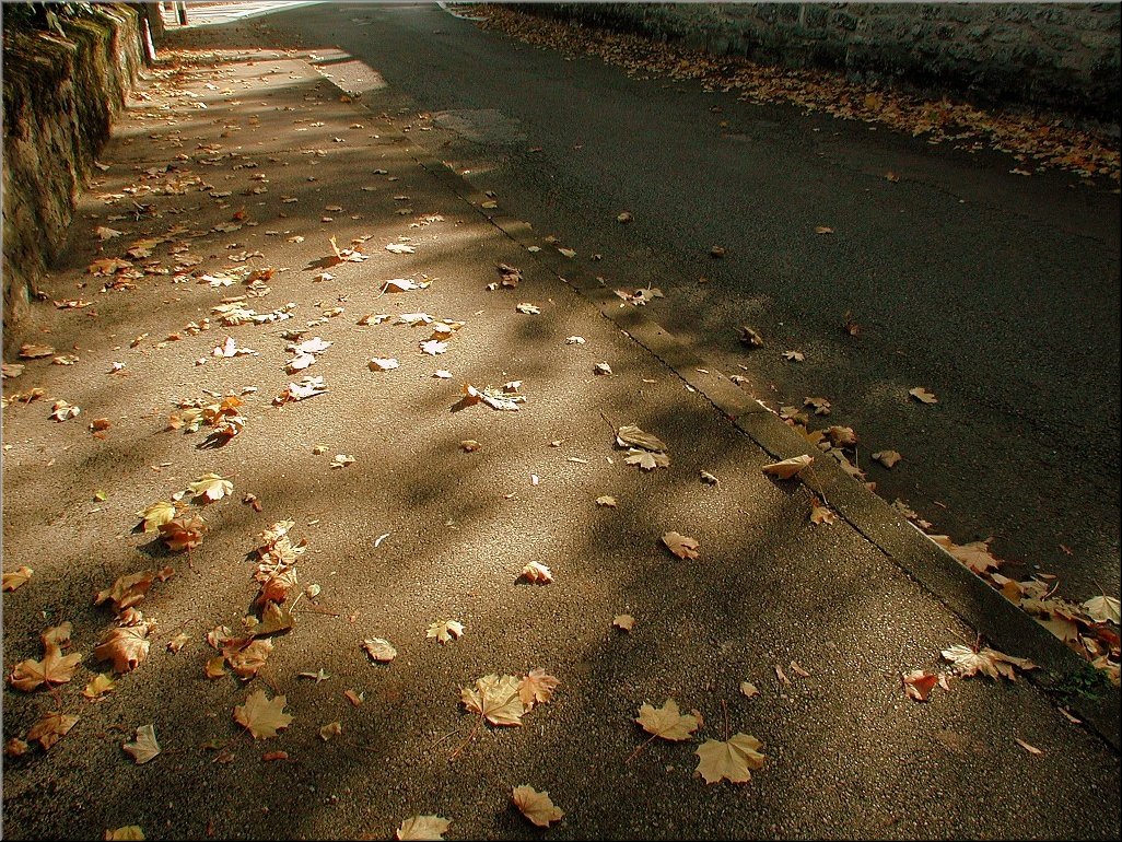 DSCN0014804