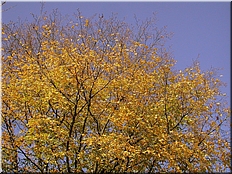 DSCN0014758