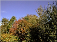 DSCN0014759