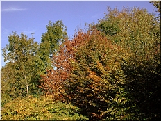 DSCN0014760