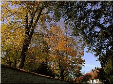 DSCN0014767