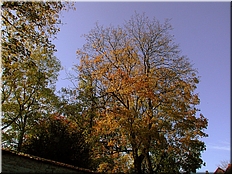 DSCN0014768