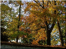 DSCN0014769