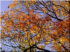 DSCN0014771