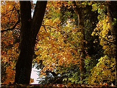 DSCN0014773