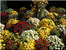DSCN0014802