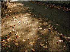 DSCN0014804