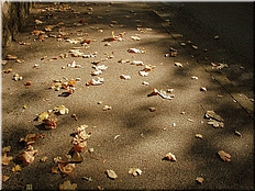 DSCN0014805