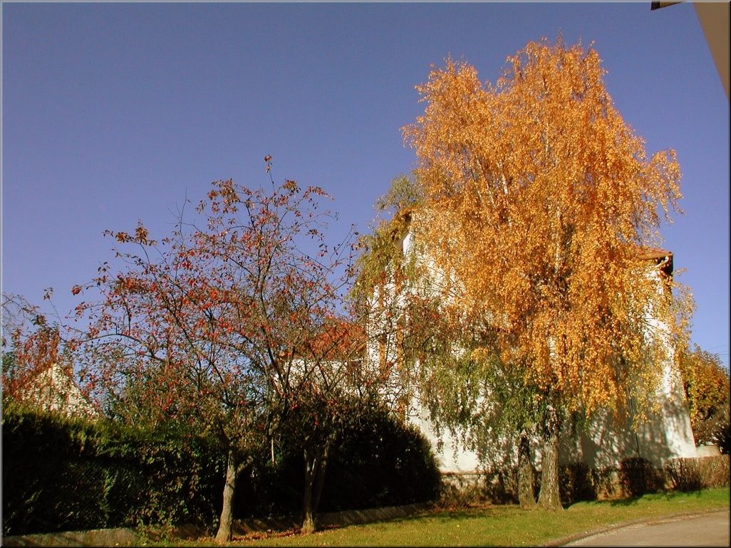 DSCN0014822