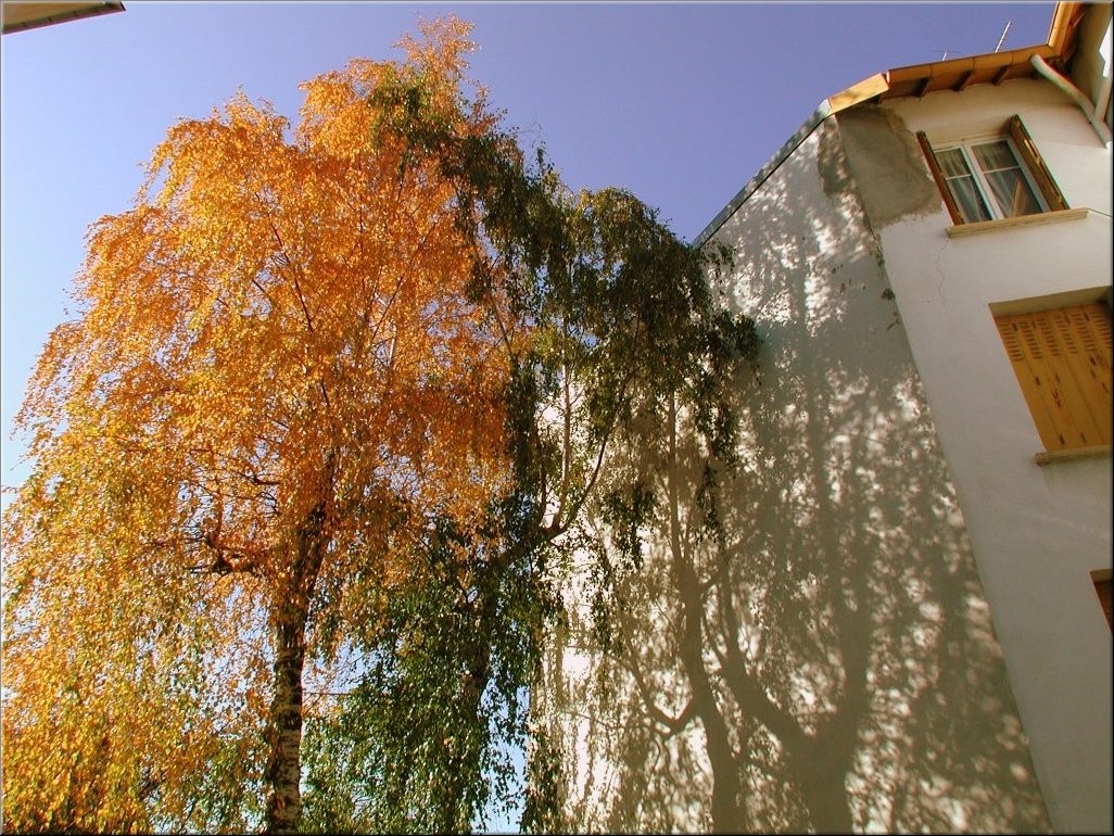 DSCN0014823