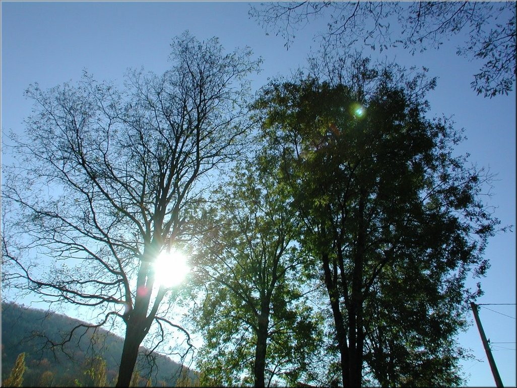 DSCN0014826