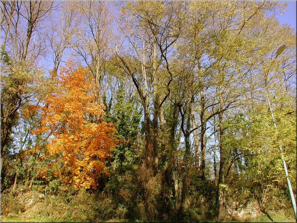 DSCN0014827