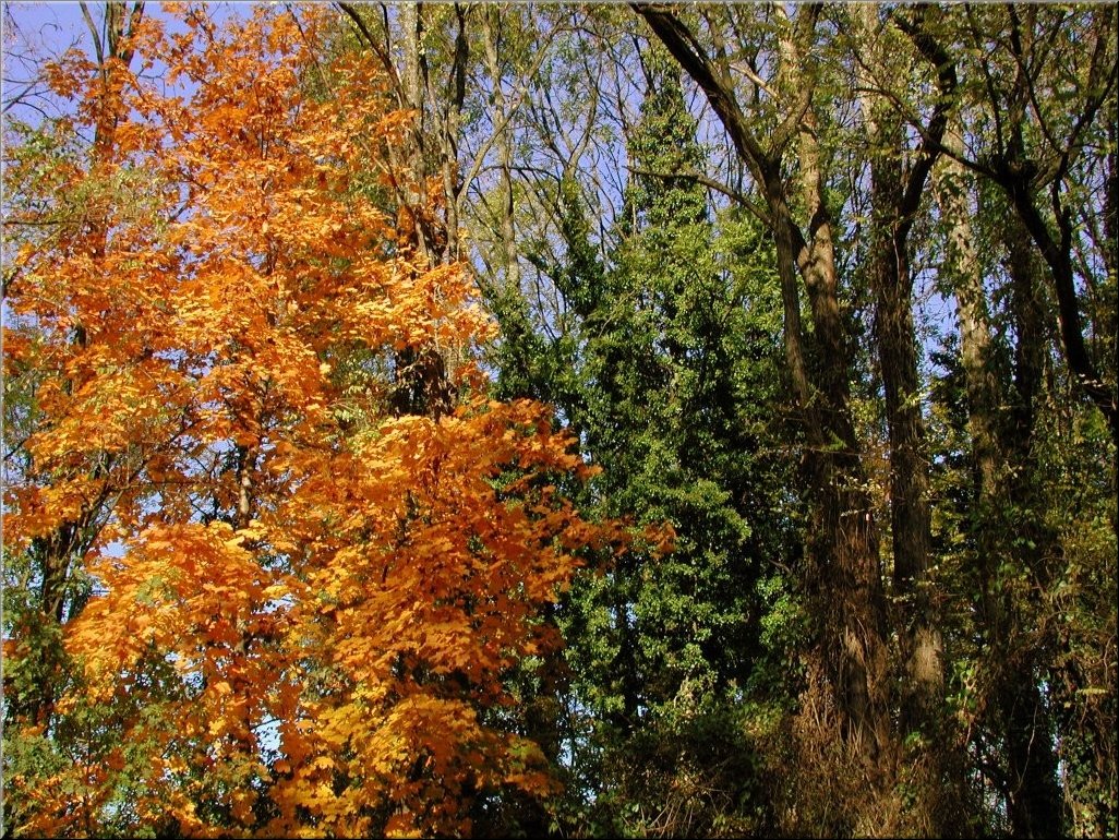 DSCN0014828