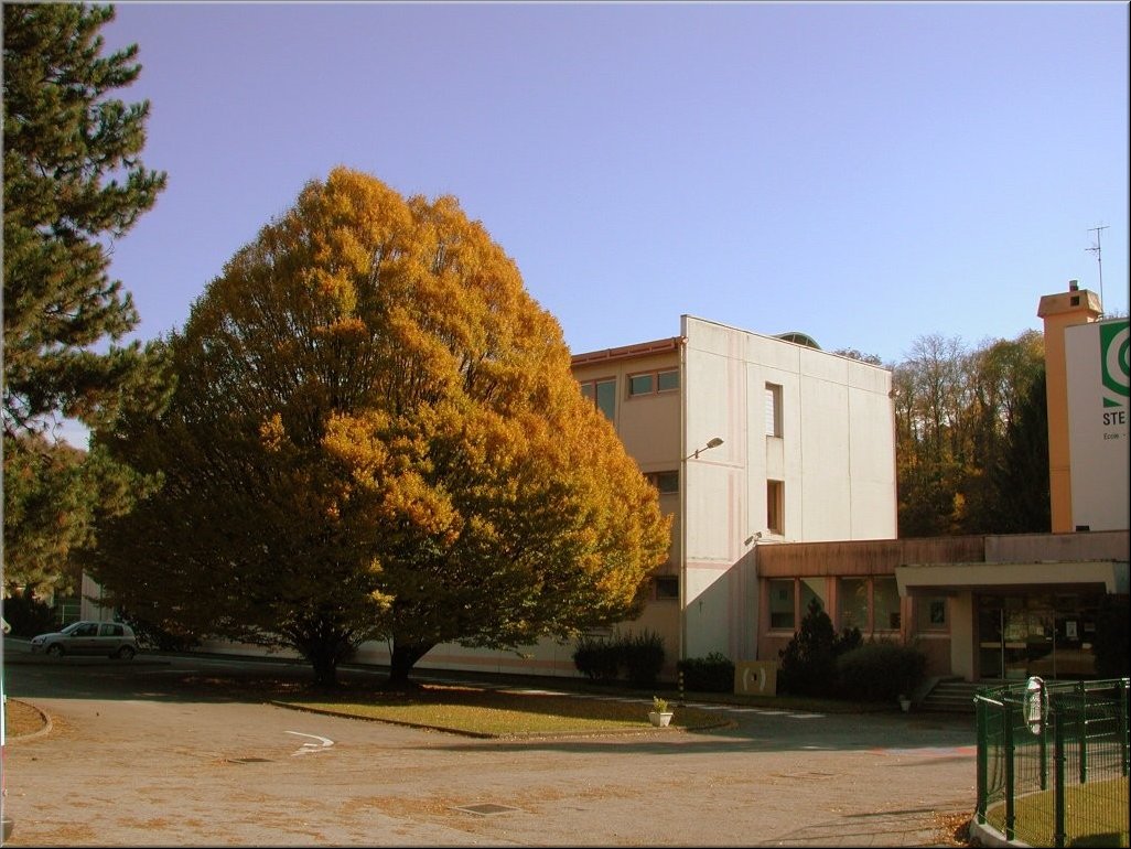 DSCN0014831