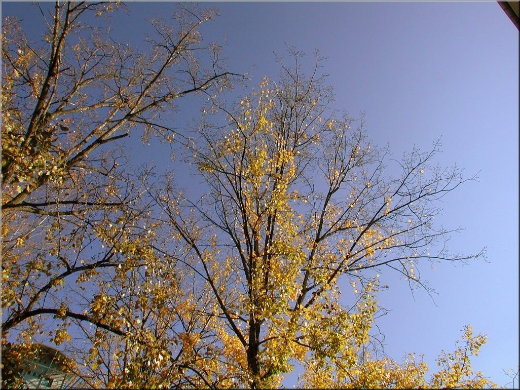 DSCN0014835