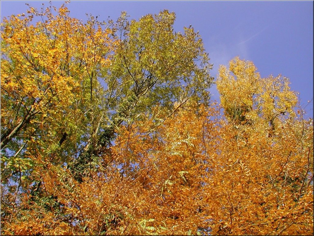 DSCN0014852