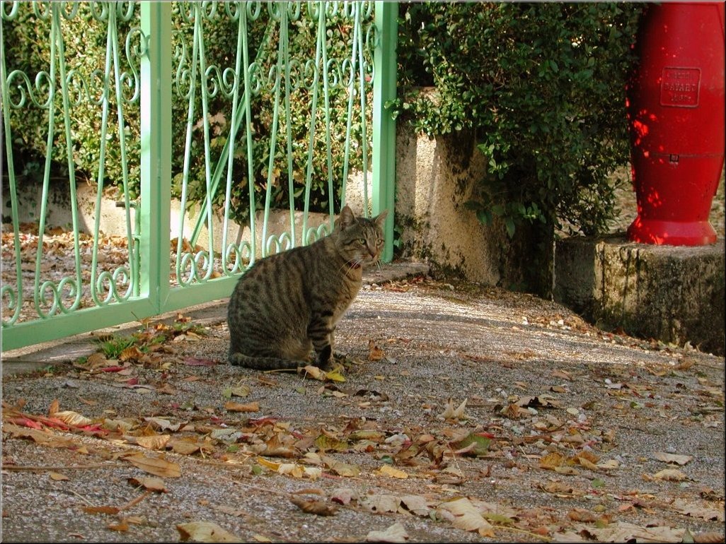 DSCN0014853