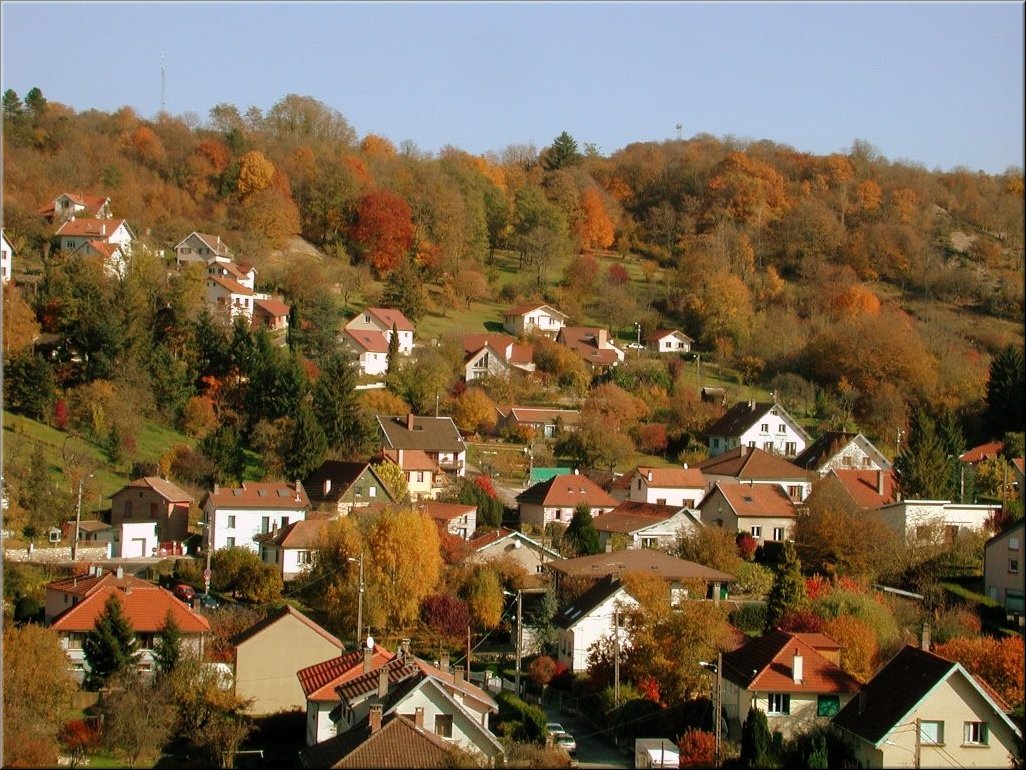 DSCN0014858