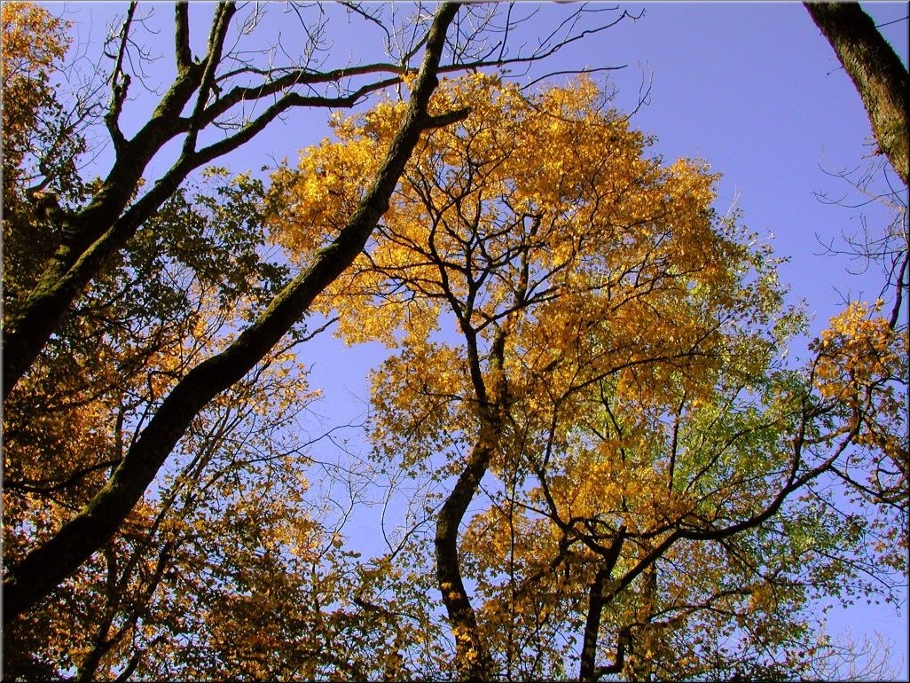 DSCN0014885