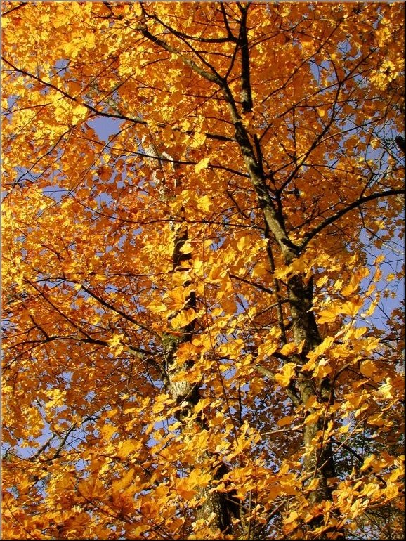 DSCN0014891