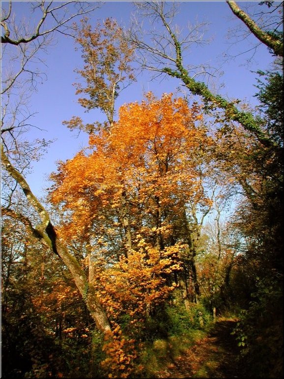 DSCN0014893