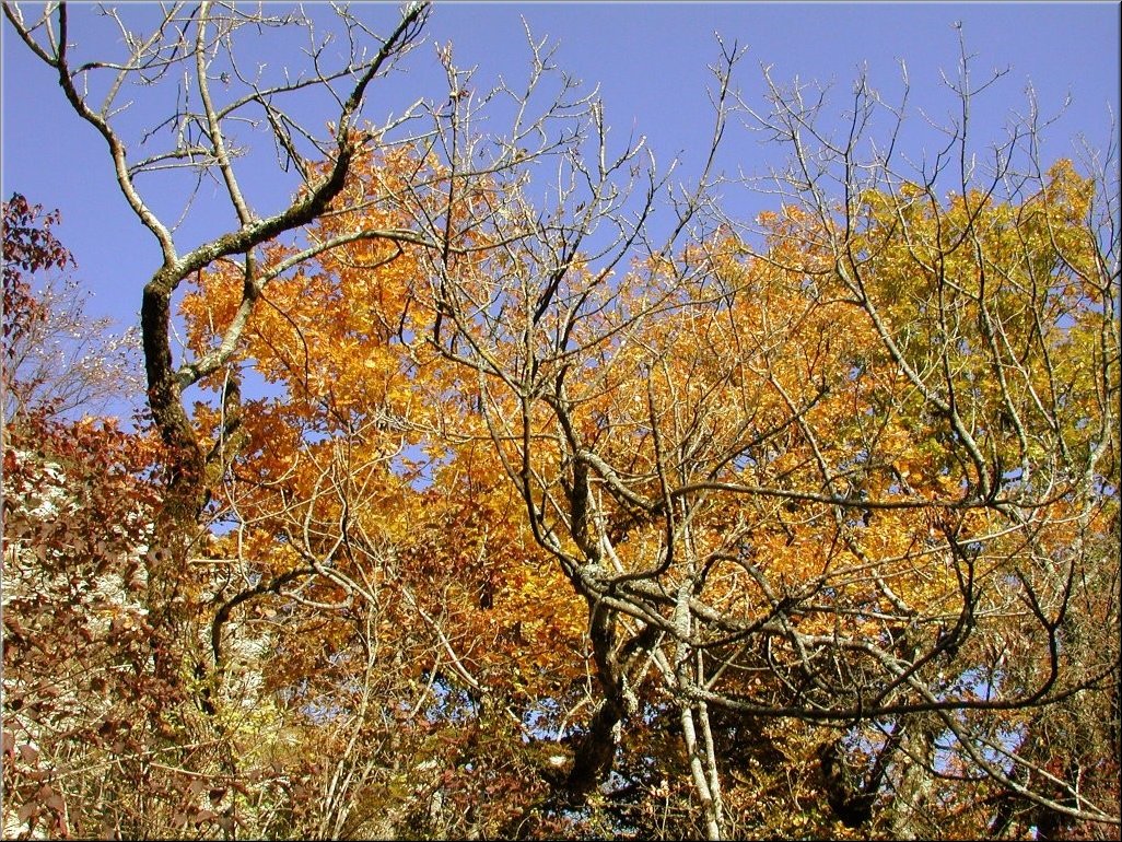 DSCN0014927