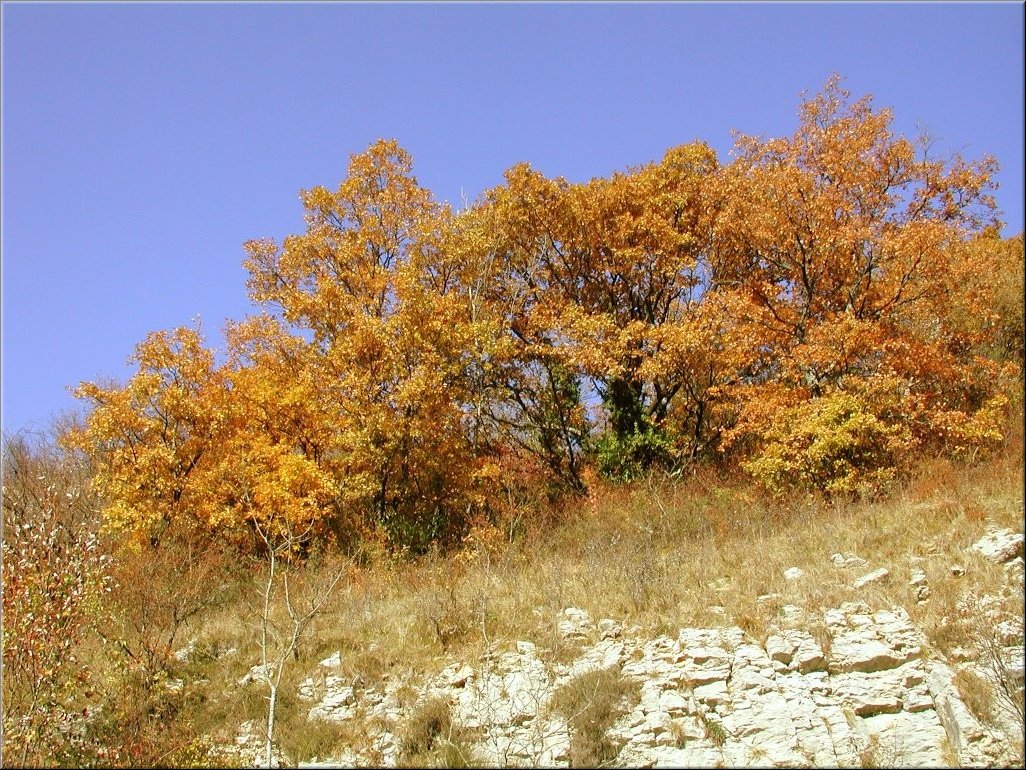 DSCN0014928