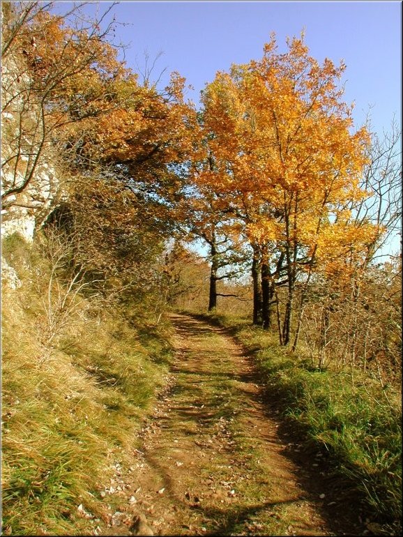 DSCN0014931