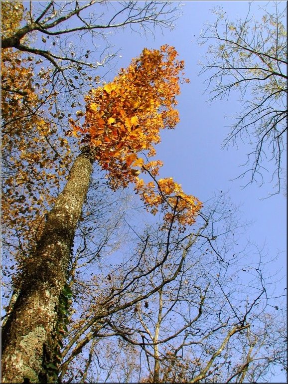 DSCN0014934