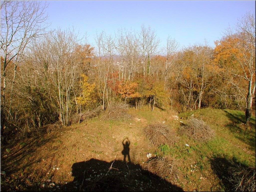 DSCN0014941