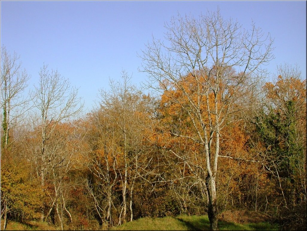 DSCN0014944