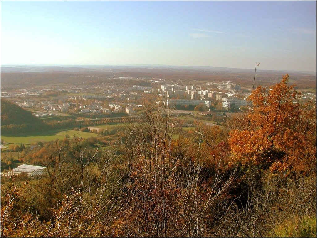 DSCN0014951