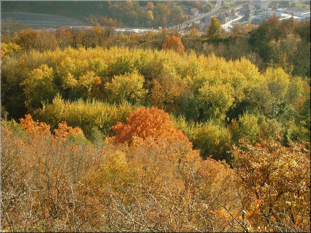 DSCN0014967