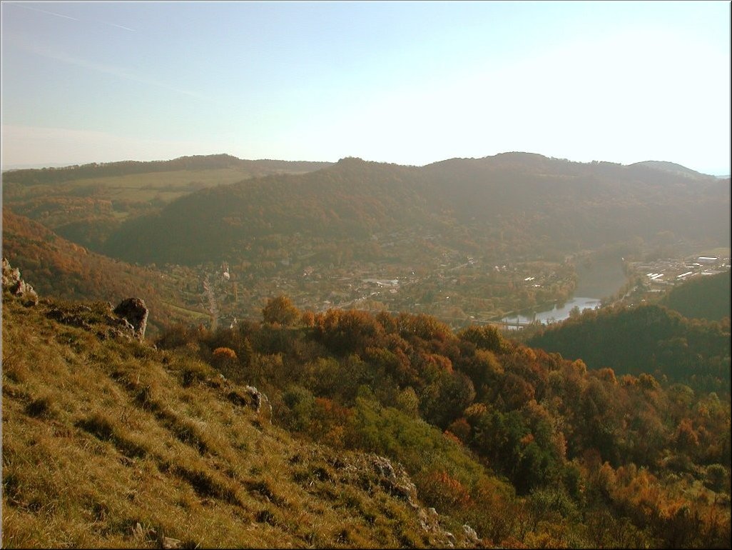 DSCN0014974