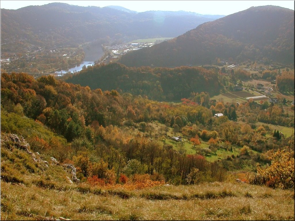 DSCN0014977