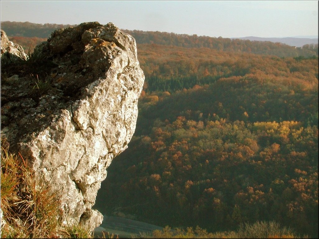 DSCN0014980