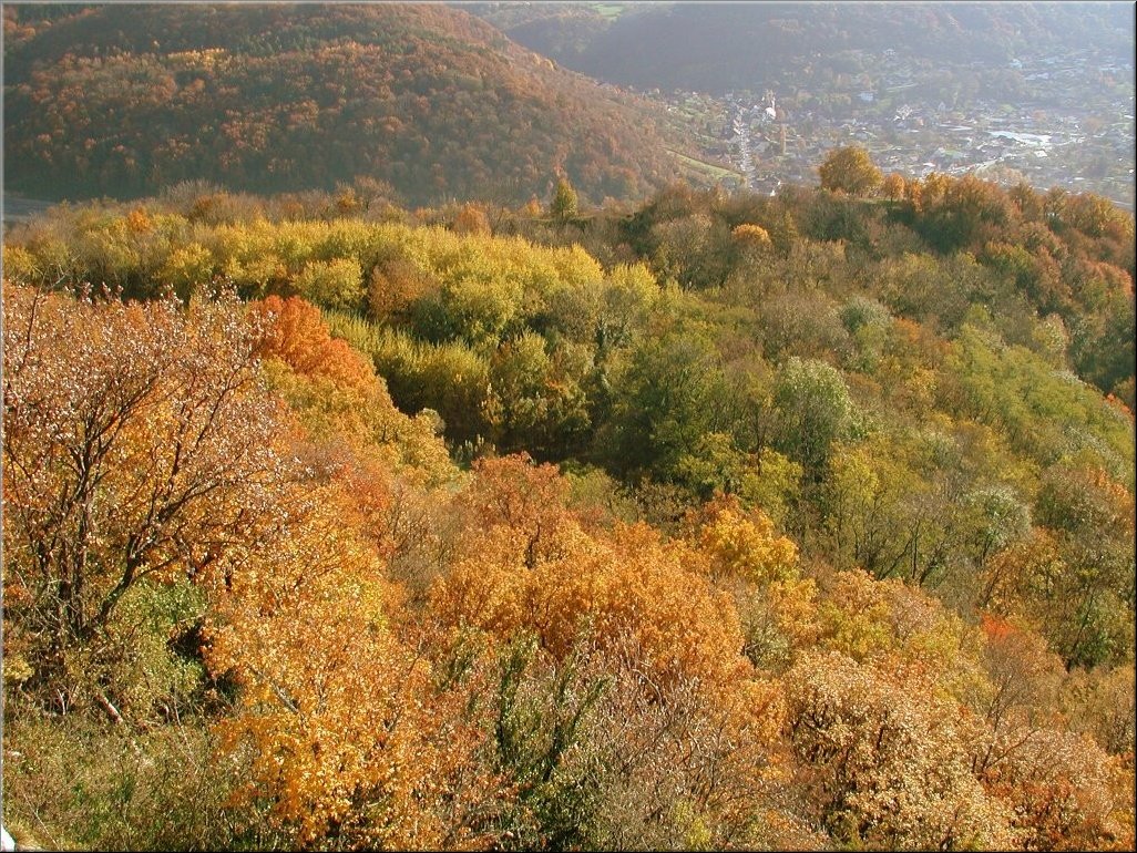 DSCN0014983