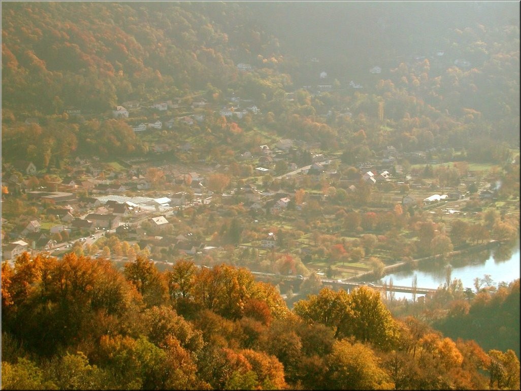 DSCN0014984