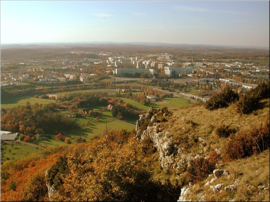 DSCN0014991