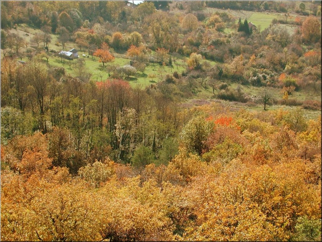 DSCN0014993