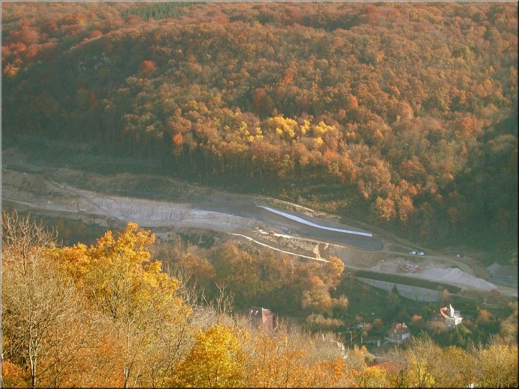 DSCN0014994