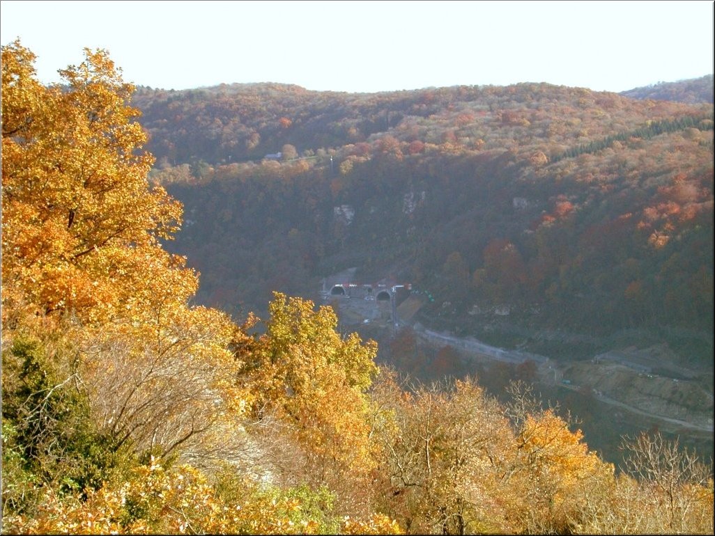 DSCN0014996