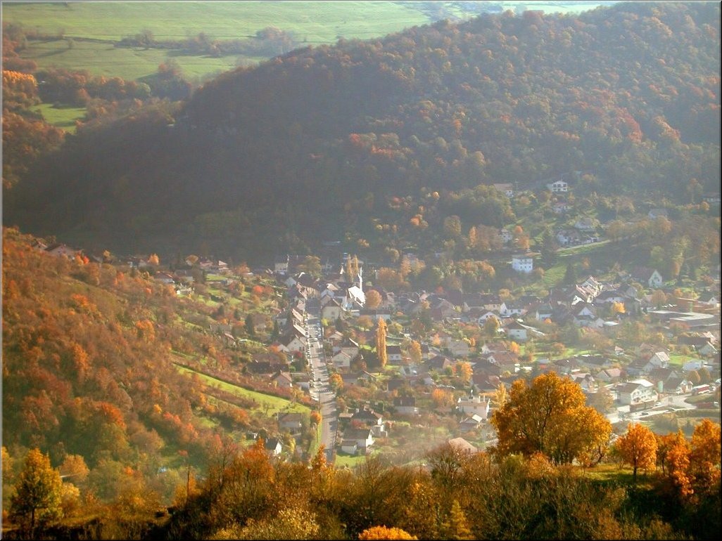 DSCN0015000