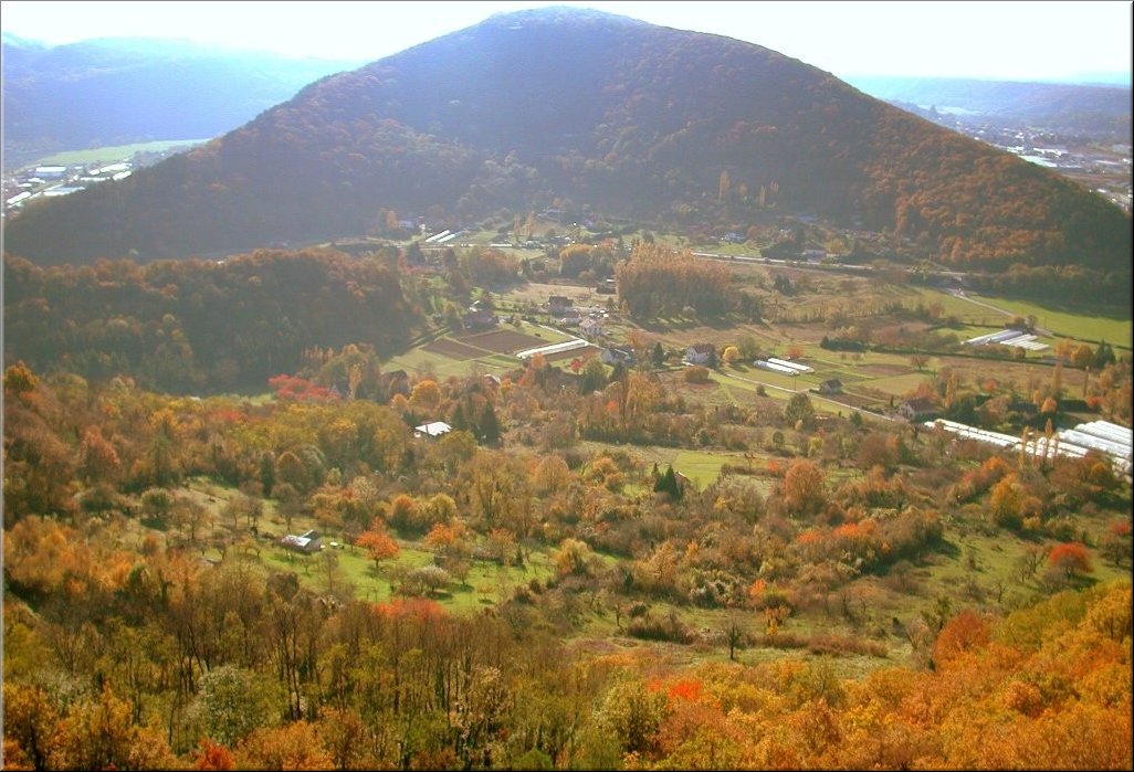 DSCN0015002
